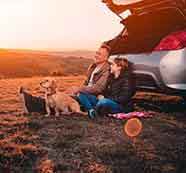 网页短信轰炸机