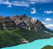 无限短信网页在线轰炸